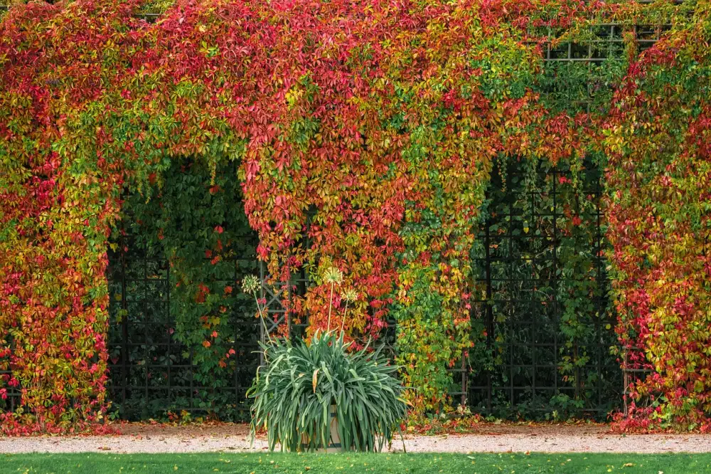 Pergola A Stavební Povolení