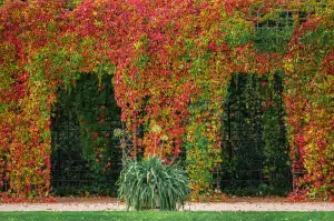 Pergola A Stavební Povolení